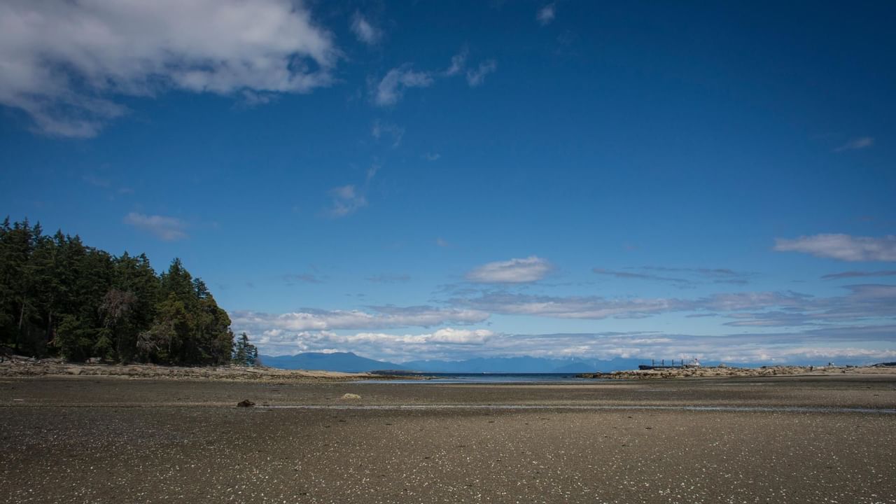 views from newcastle island