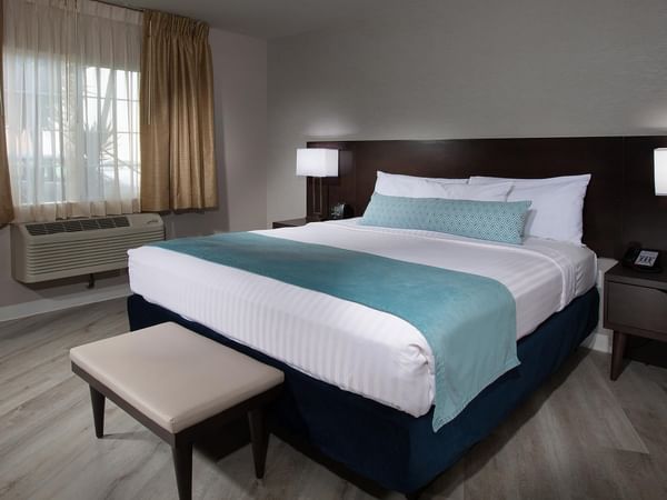 Coast Premium King Suite