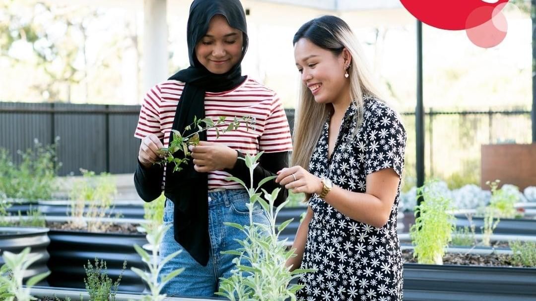 Two women planting herbs in a garden with text: Apply Now for 2026, Live the Curtin Community Life.