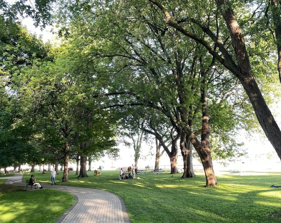 Tree-lined park with a curved path and picnic tables under a leafy canopy near Hotel X Toronto along the waterfront