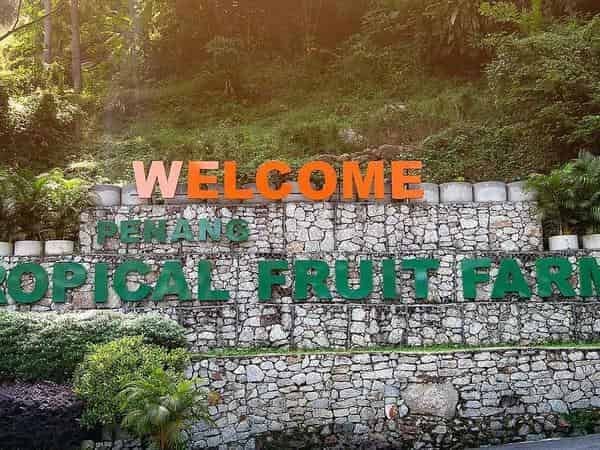 Places of Interest - Tropical Fruit Farm in Penang