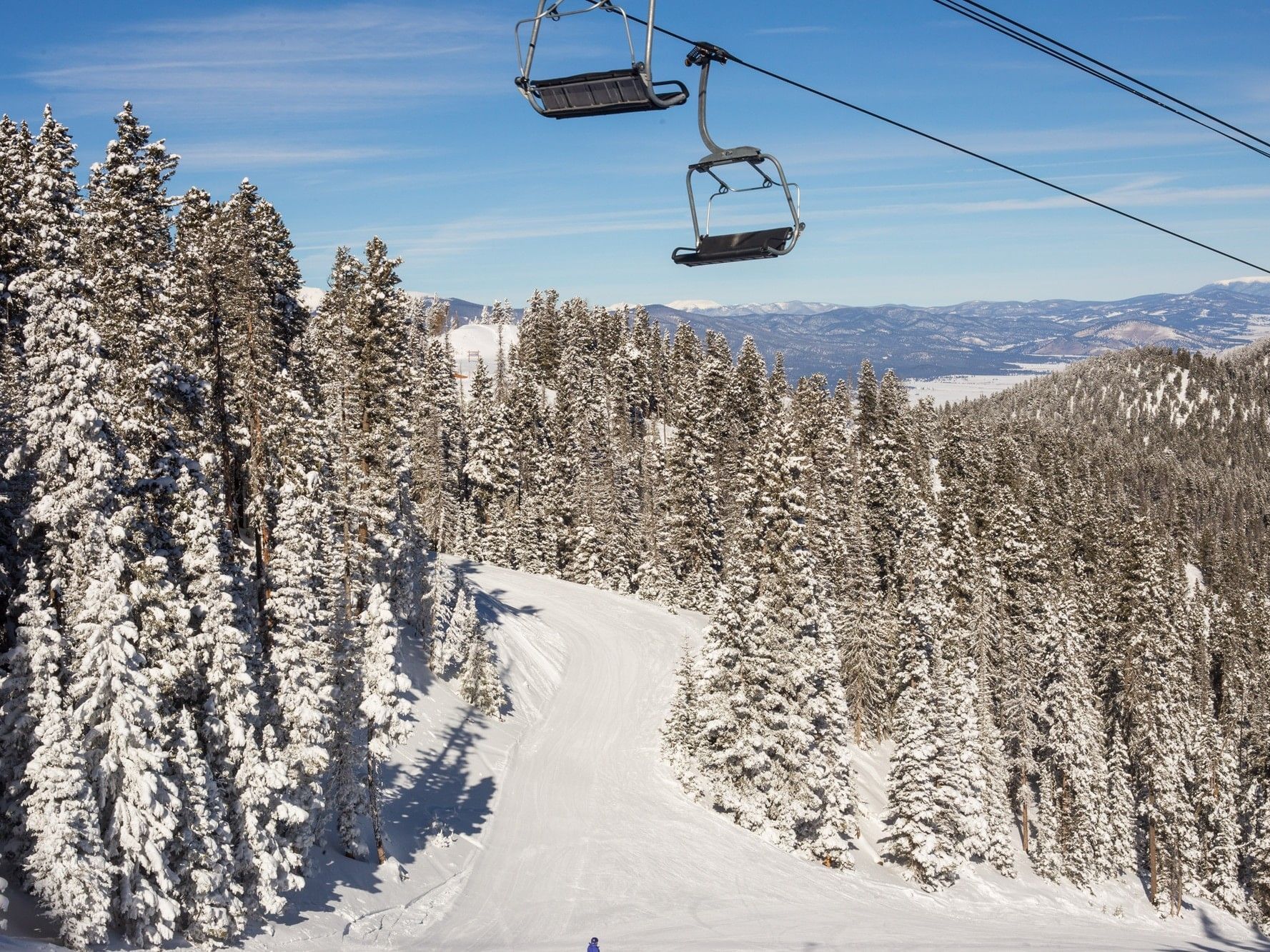 ski slope below, ski lift above, snow covered pine trees