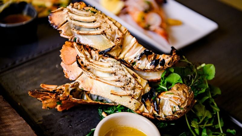 Grilled lobster tail served on a plate with fresh herbs in the The Ternary at Novotel Sydney on Darling Harbour