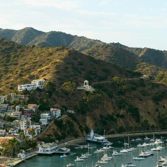 Aerial view of a coastal bay with boats and buildings near Catalina Island Company