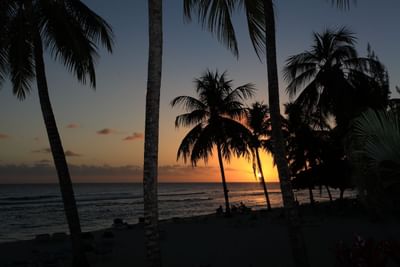 Sunset on the Beach