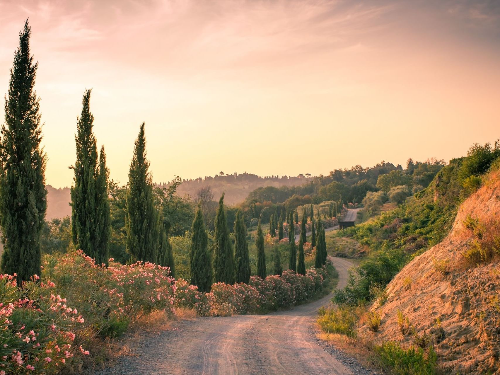 Beautiful route of Chianti near Precise Tale Poggio Alla Sala