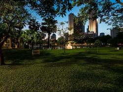 Garden area of Benjasiri Park near Chatrium Grand Bangkok