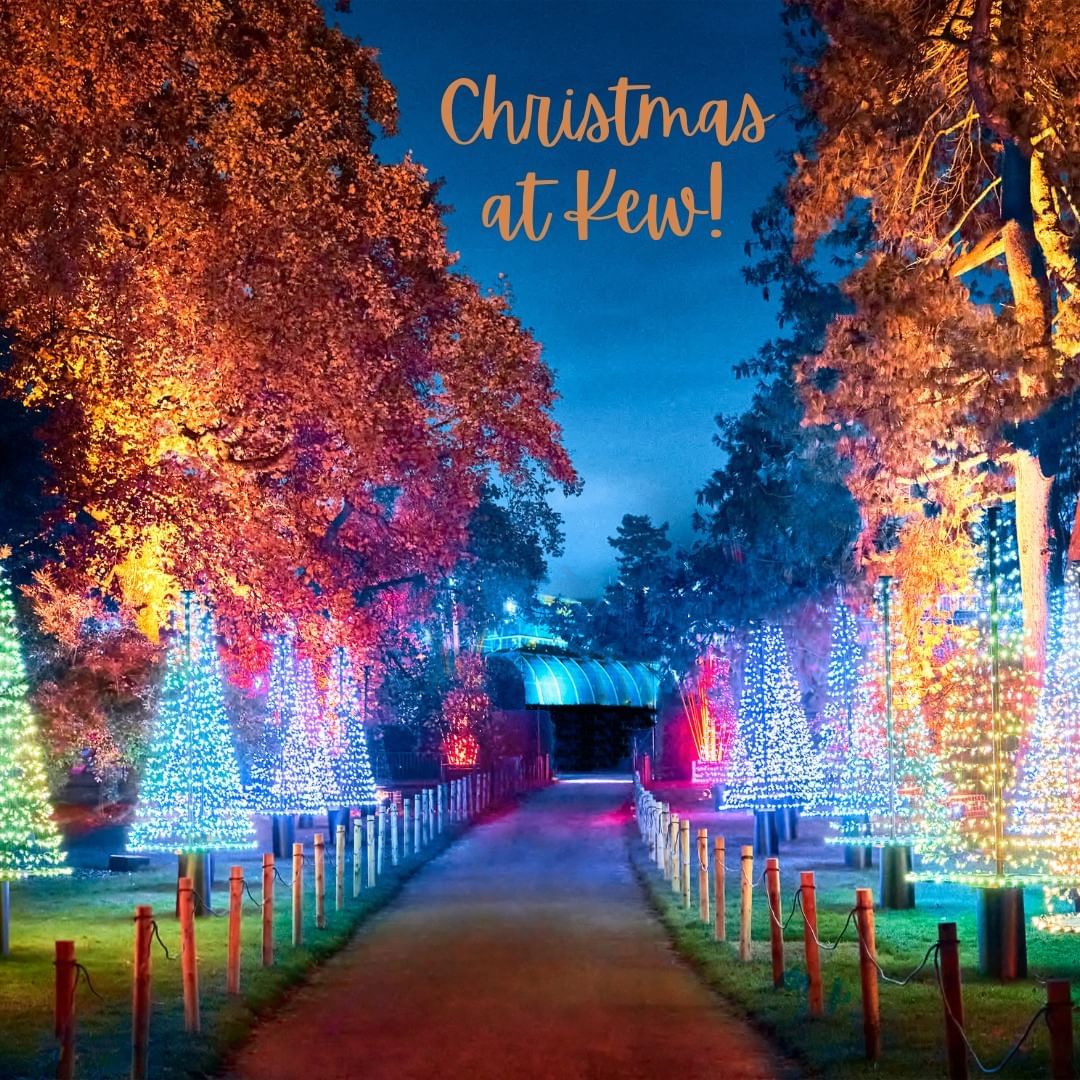 Kew Gardens Christmas Lights 2025 Dates - Orla Thechers