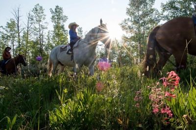 Horseback riding Jackson Hole Wyoming