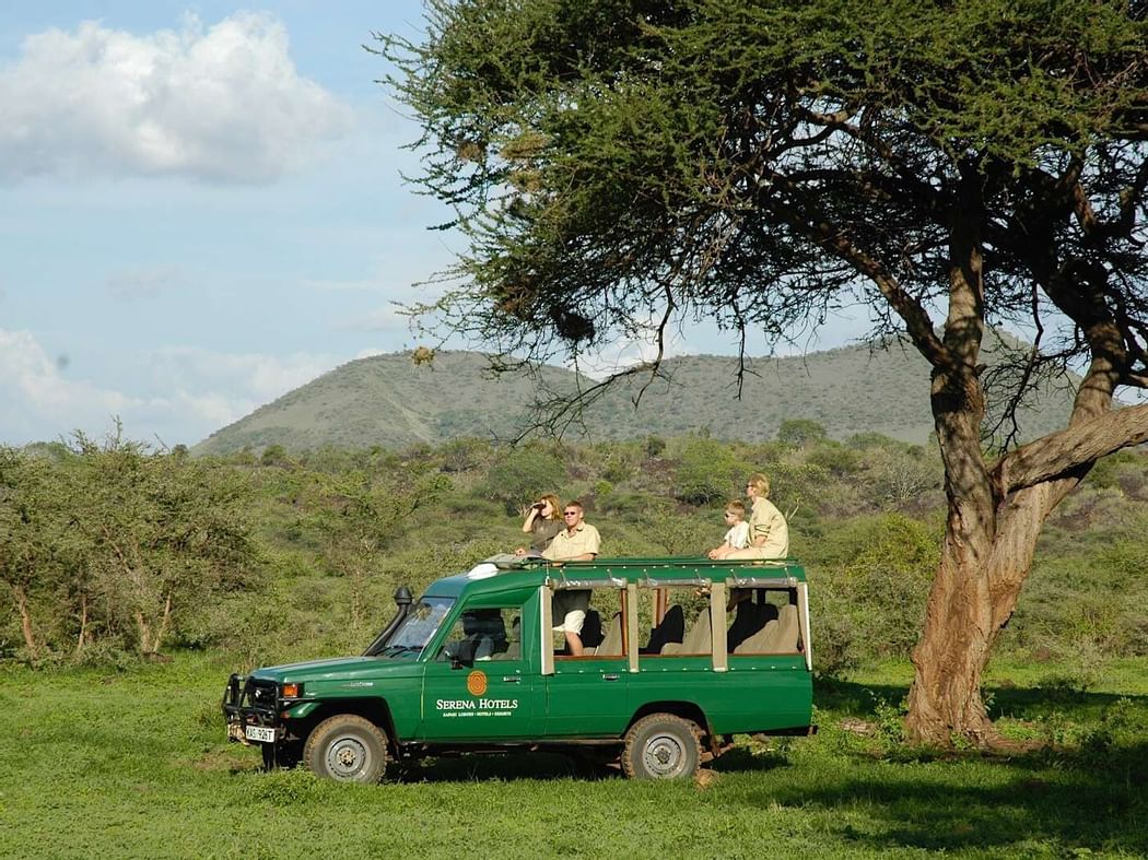 A Safari at Tsavo National Park near Hotel Kilaguni Serena