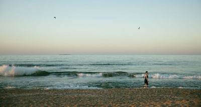olas en mar de punta del este