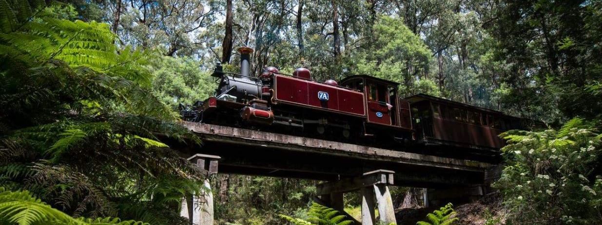 Train moving through a forest, Novotel Melbourne Glen Waverley
