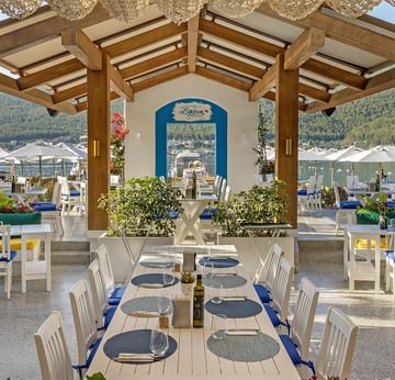 Открытая зона для обеда в Yamas Bistro — стиль и вкус под солнцем в Titanic Luxury Collection Bodrum