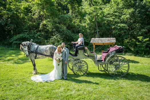 Newlyweds with horse and carriage at Gettysburg.
