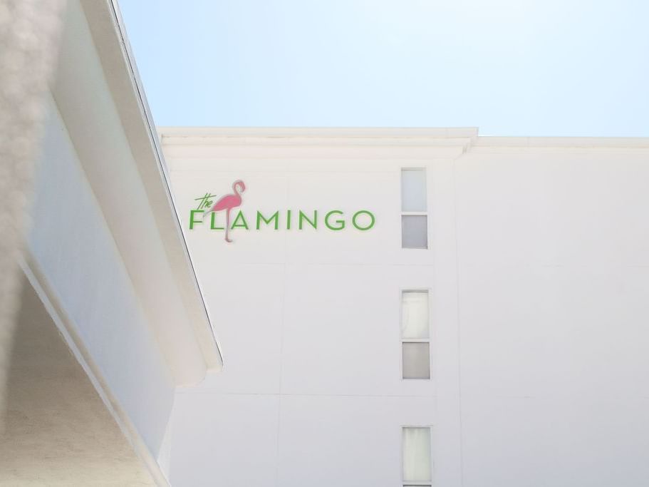 flamingo hotel parking