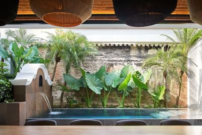 Lush outdoor courtyard with a fountain, swimming pool, and tropical plants at Singular Signature Residences