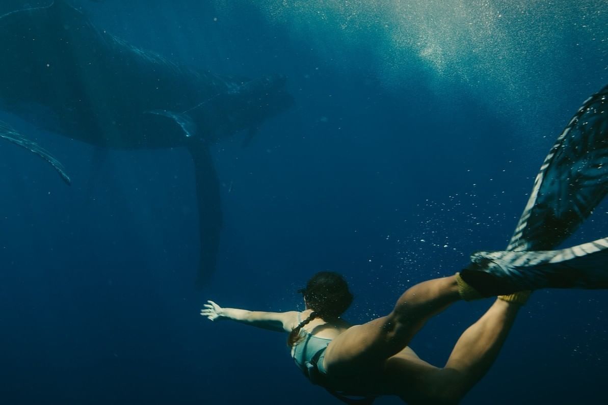 A woman in a bikini swims underwater, with a large whale nearby.