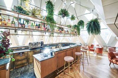 Helle Bar mit Pflanzen und modernem Dekor im Restaurant Chez Bernard, Hotel MOTTO Wien