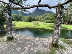 Un lago en el Zoológico de Níspero cerca del Hotel Los Mandarinos