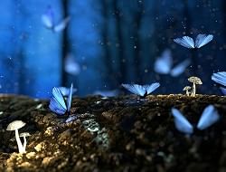 Einblick ins Ibiza Gran Hotel