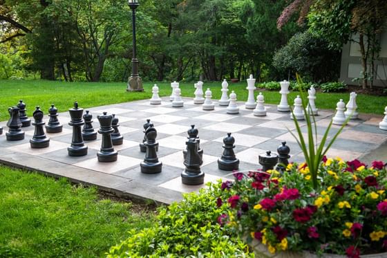 Well-arranged chess board in garden at Castle Hotel and Spa