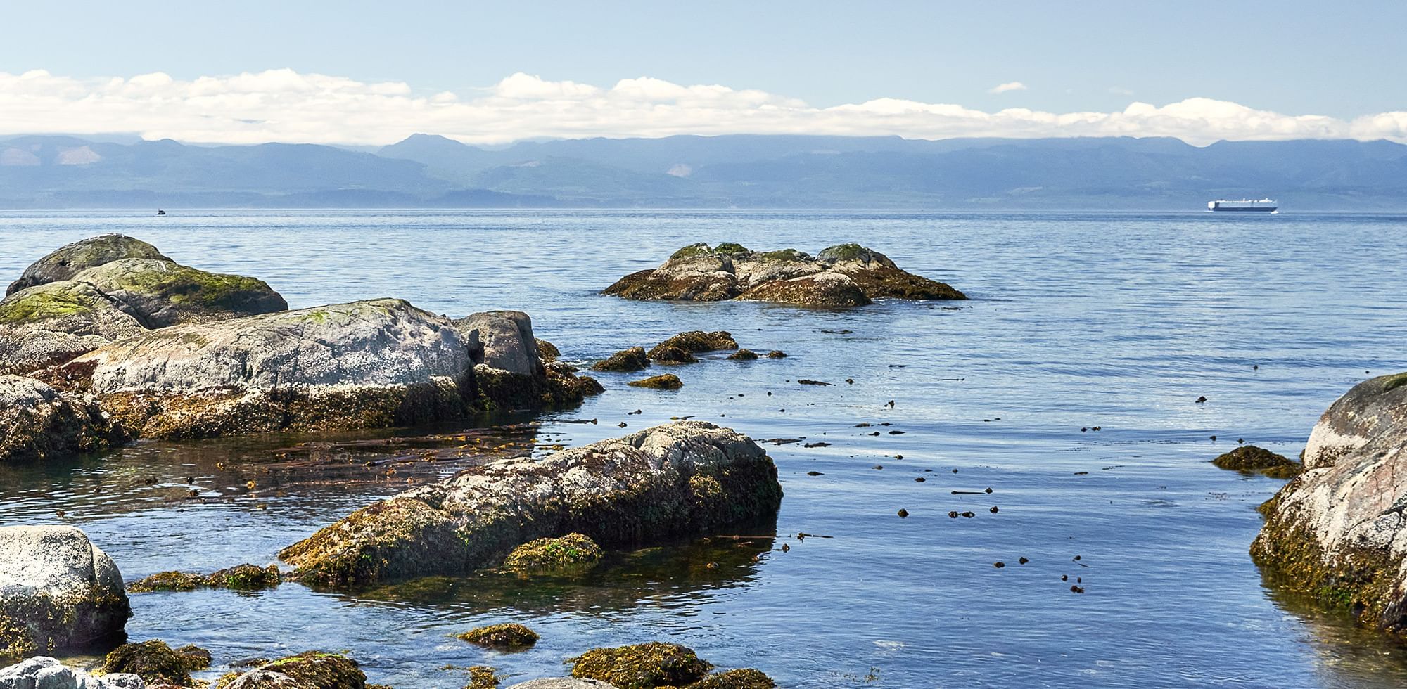 comox valley waterbody