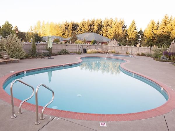 Hotel pool in forest.