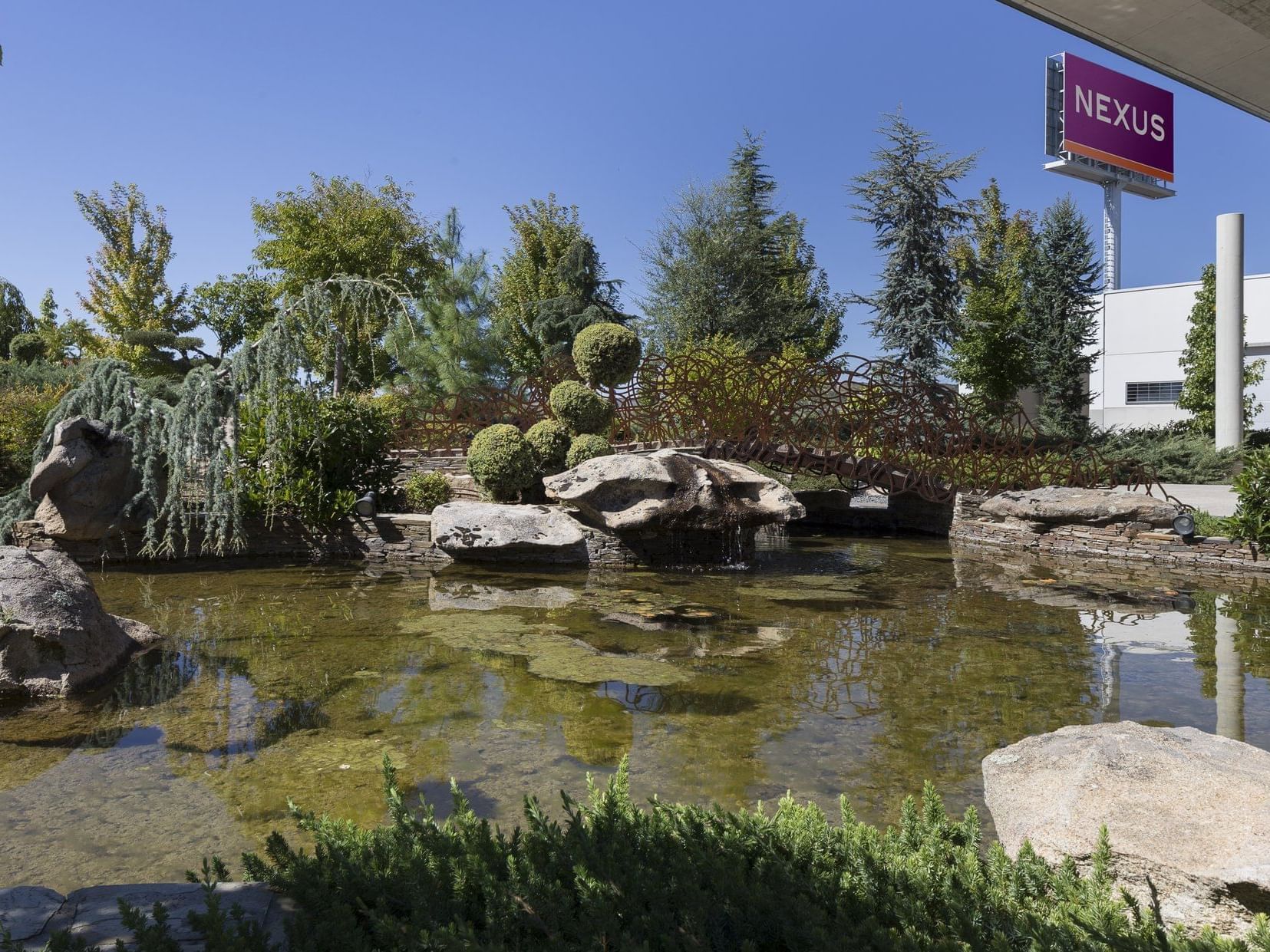 Lake at Nexus Valladolid Suites & Hotel