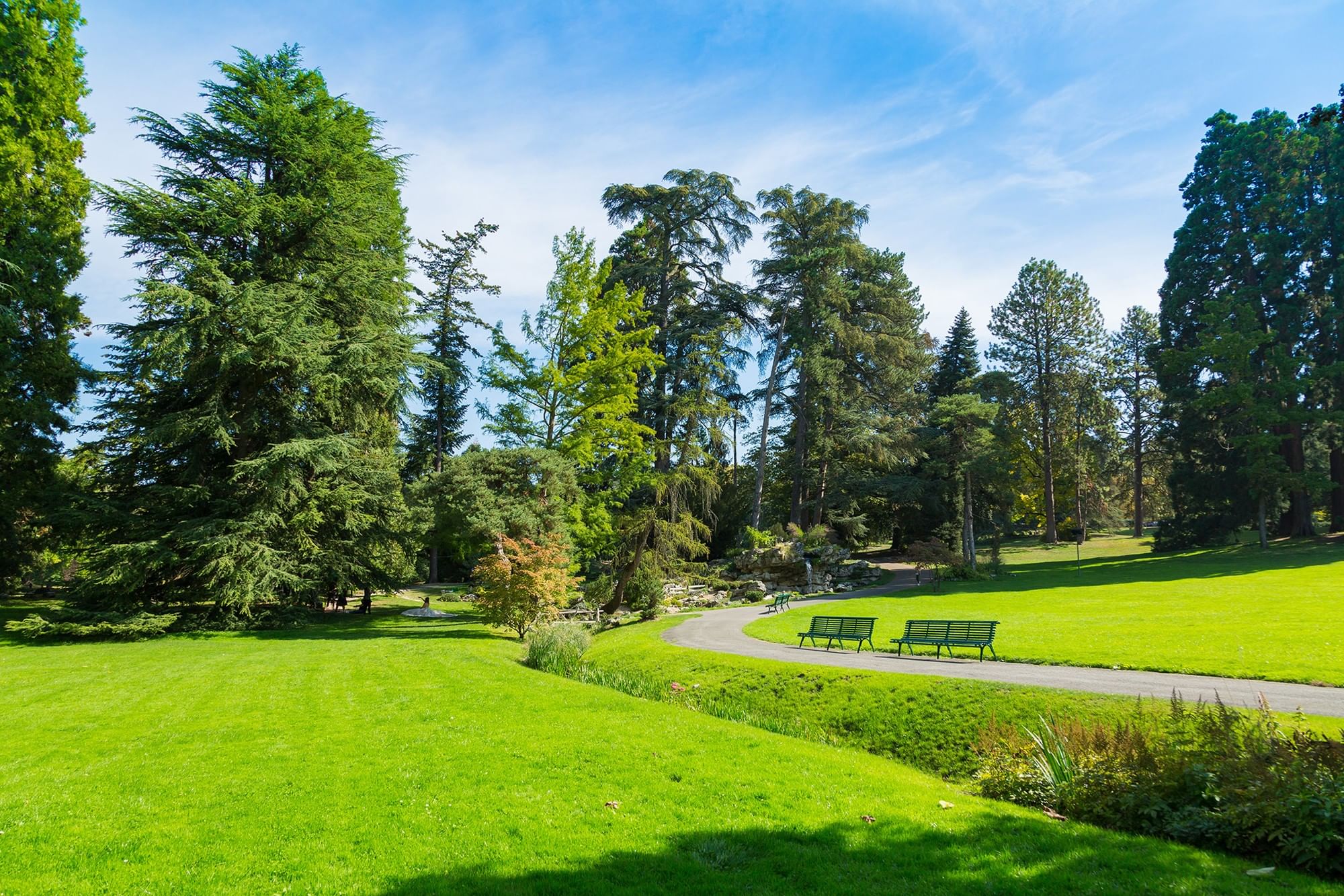 Public park featuring green benches by a winding path under tall trees near Warwick Geneva