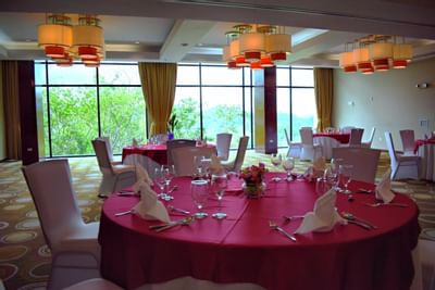 Comedor