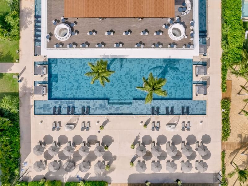 Aerial view of the swimming pool, lounge chairs & palm trees at Live Aqua Resorts and Residence Club