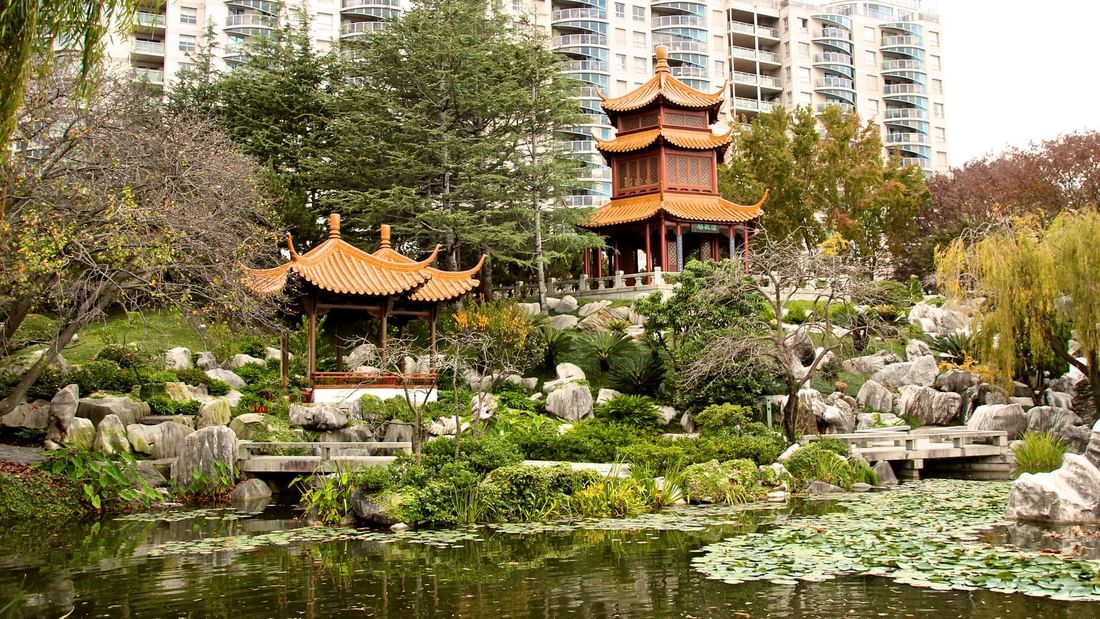 Serene Chinese Garden of Friendship with an authentic oasis near Novotel Sydney on Darling Harbour