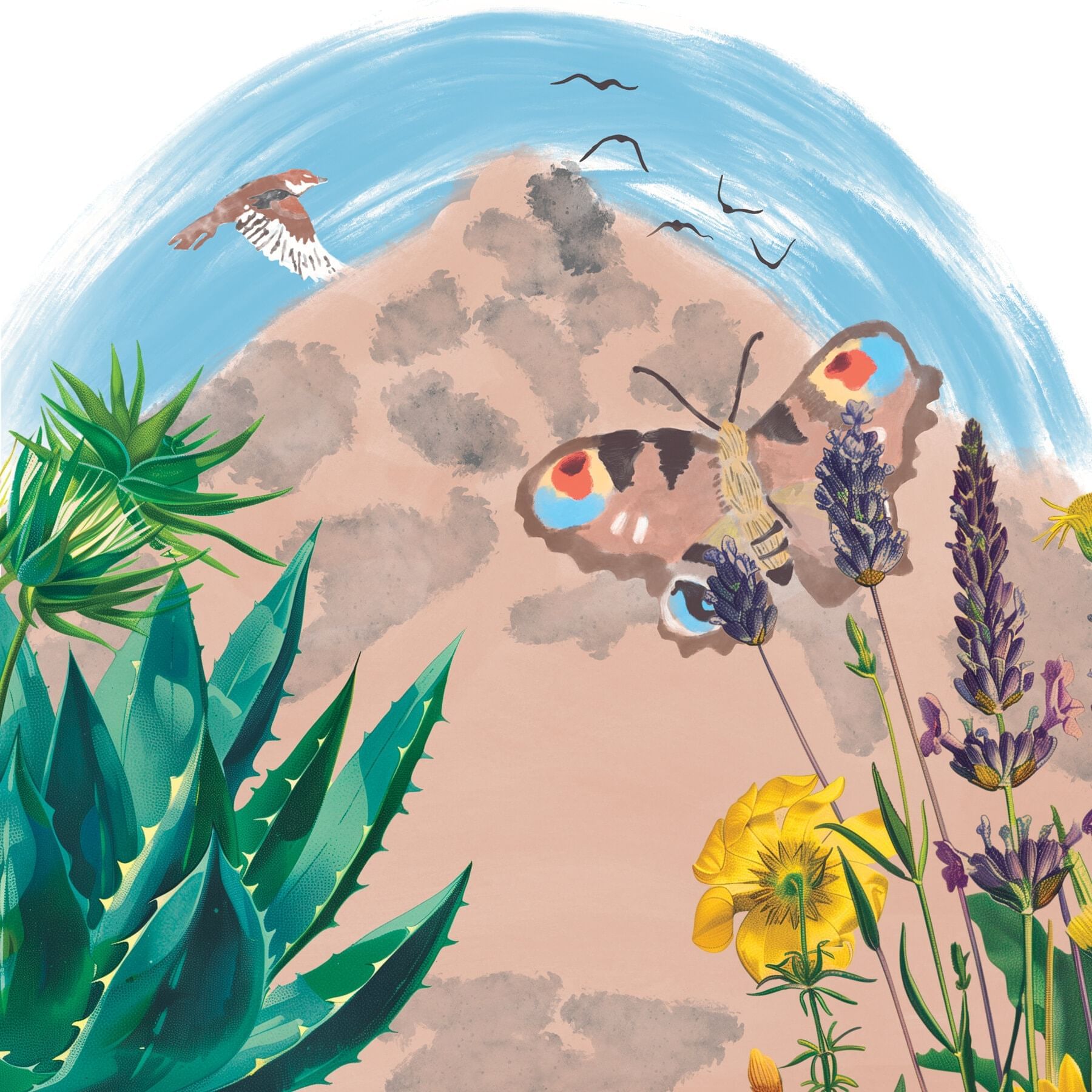 Illustration of Andalusian flowers, a butterfly, and agave with La Concha mountain near Marbella Club
