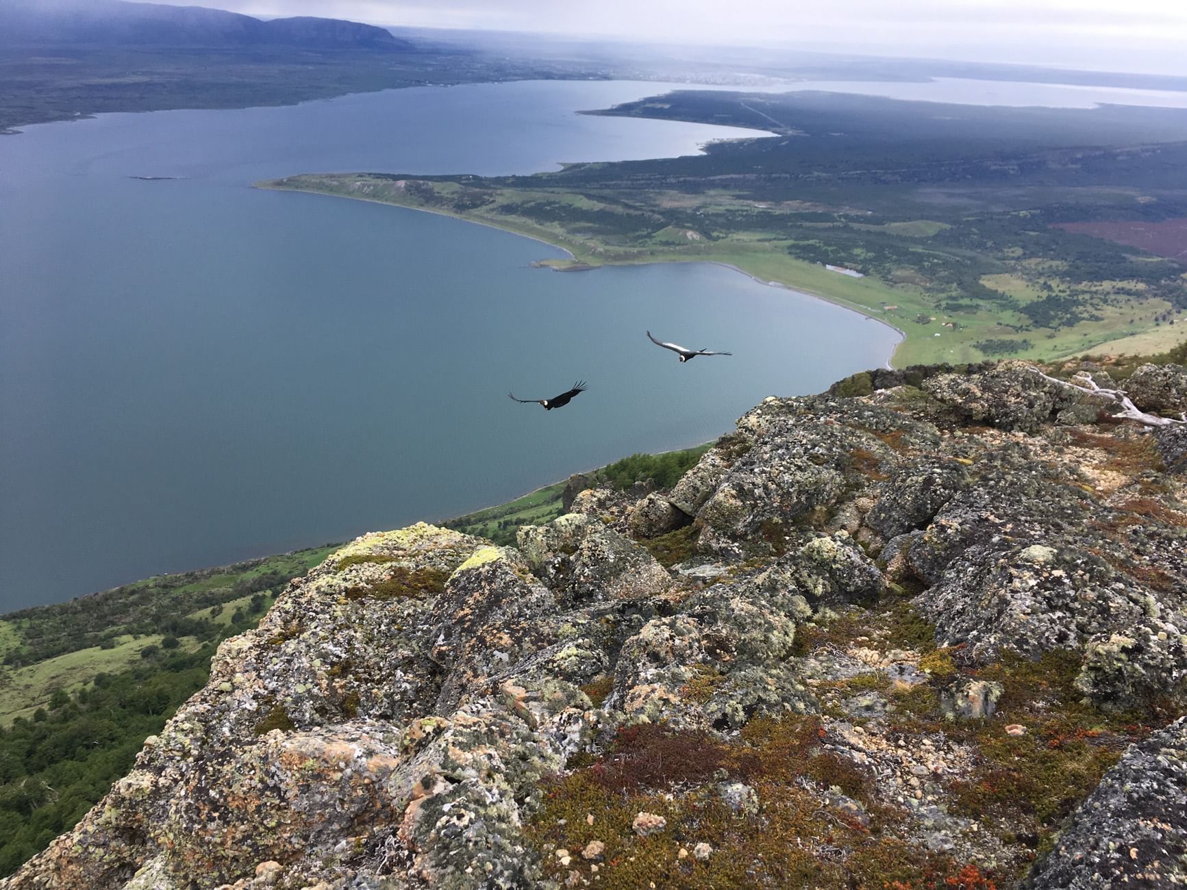 Overhead shot of Ballena hills near The Singular Patagonia