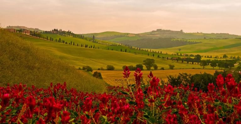 Landscape view of mountains near Precise House Montaperti Siena