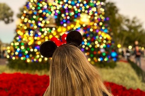 A woman wearing Minnie ears faces a large glittering Christmas tree at EPCOT. 