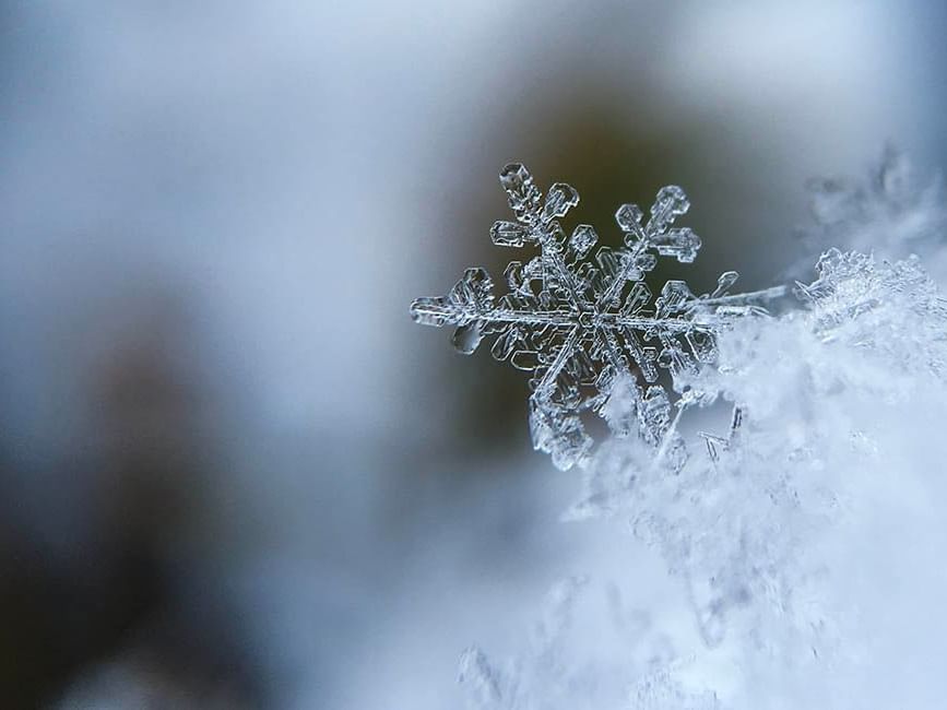 snowflake