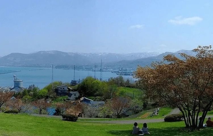 Fall Foliage | Grand Park Otaru