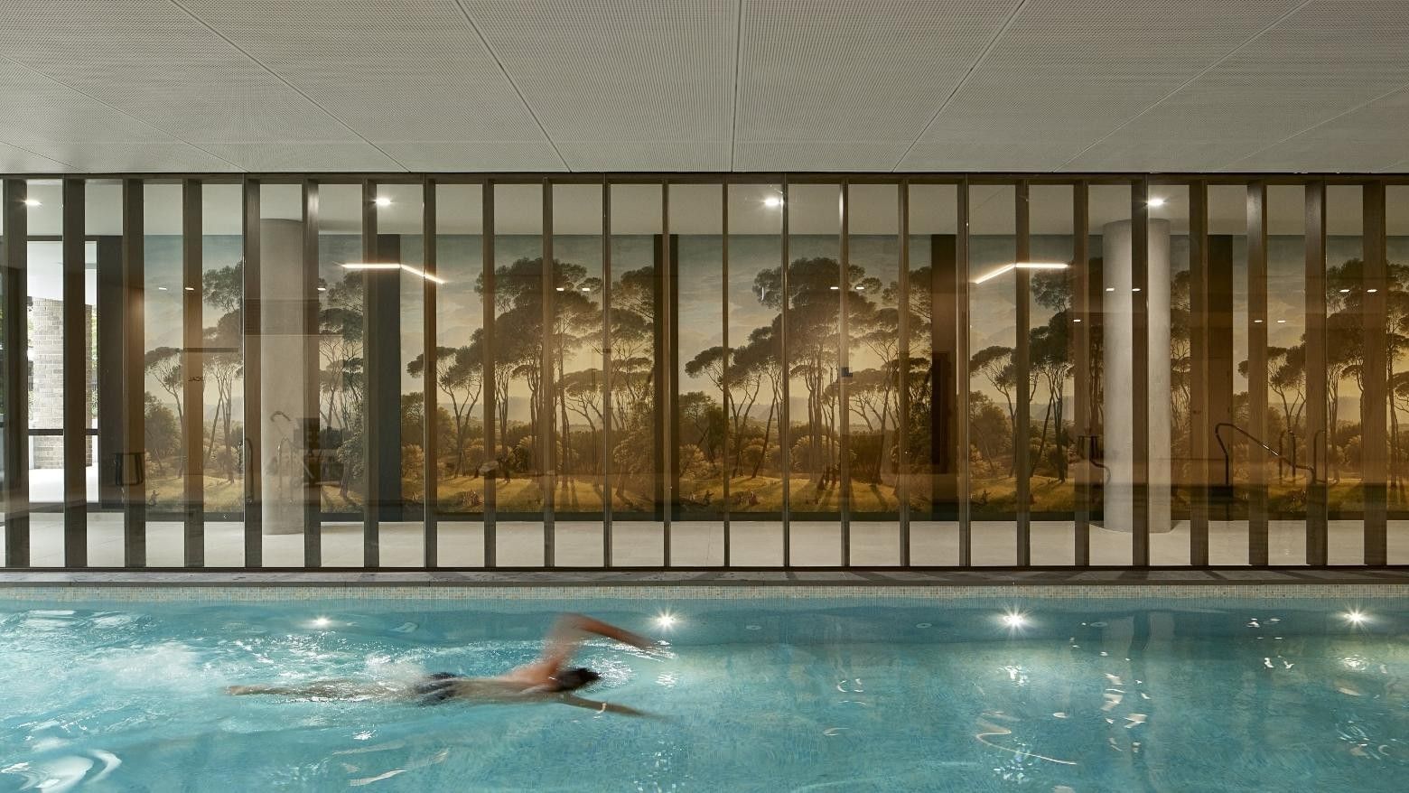 Person swimming in an indoor pool with a forest mural on the wall and vertical blinds.