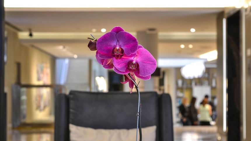 Close-up of a purple orchid at Grand Hotels Lux