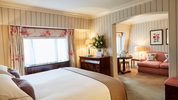 261 Junior Suite
