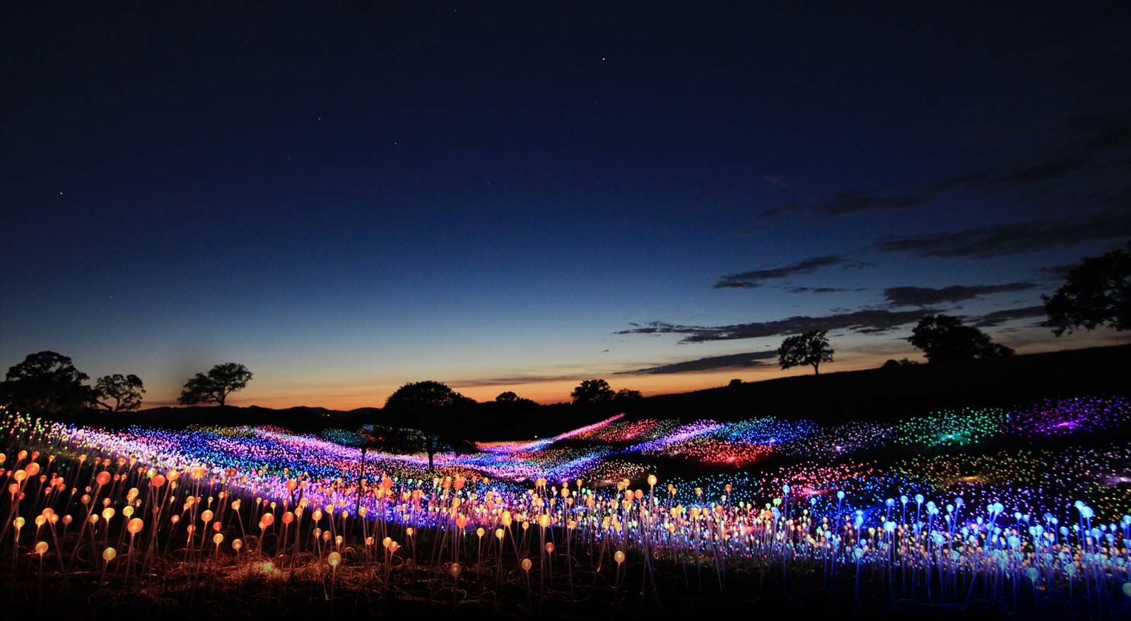 Field of Lights experience. Many colors cover the field as the