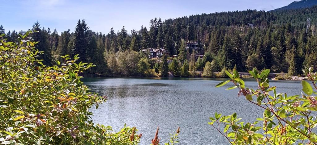 Scenic view of Nita Lake in Whistler surrounded by forest