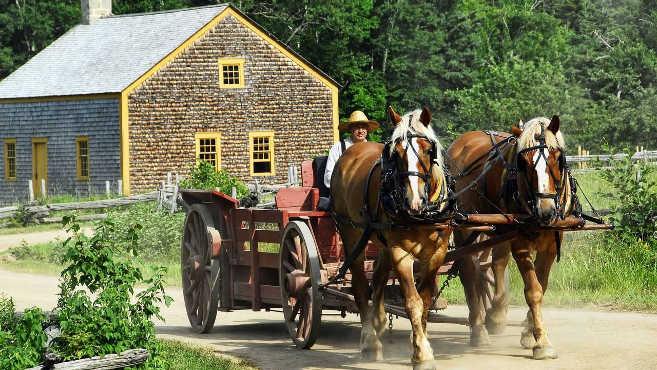 Horse drawn carriage