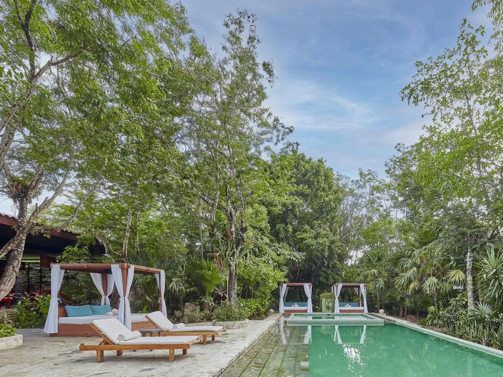 Serene poolside scene with lounge chairs and canopy beds shaded by lush green trees at The Explorean Resorts