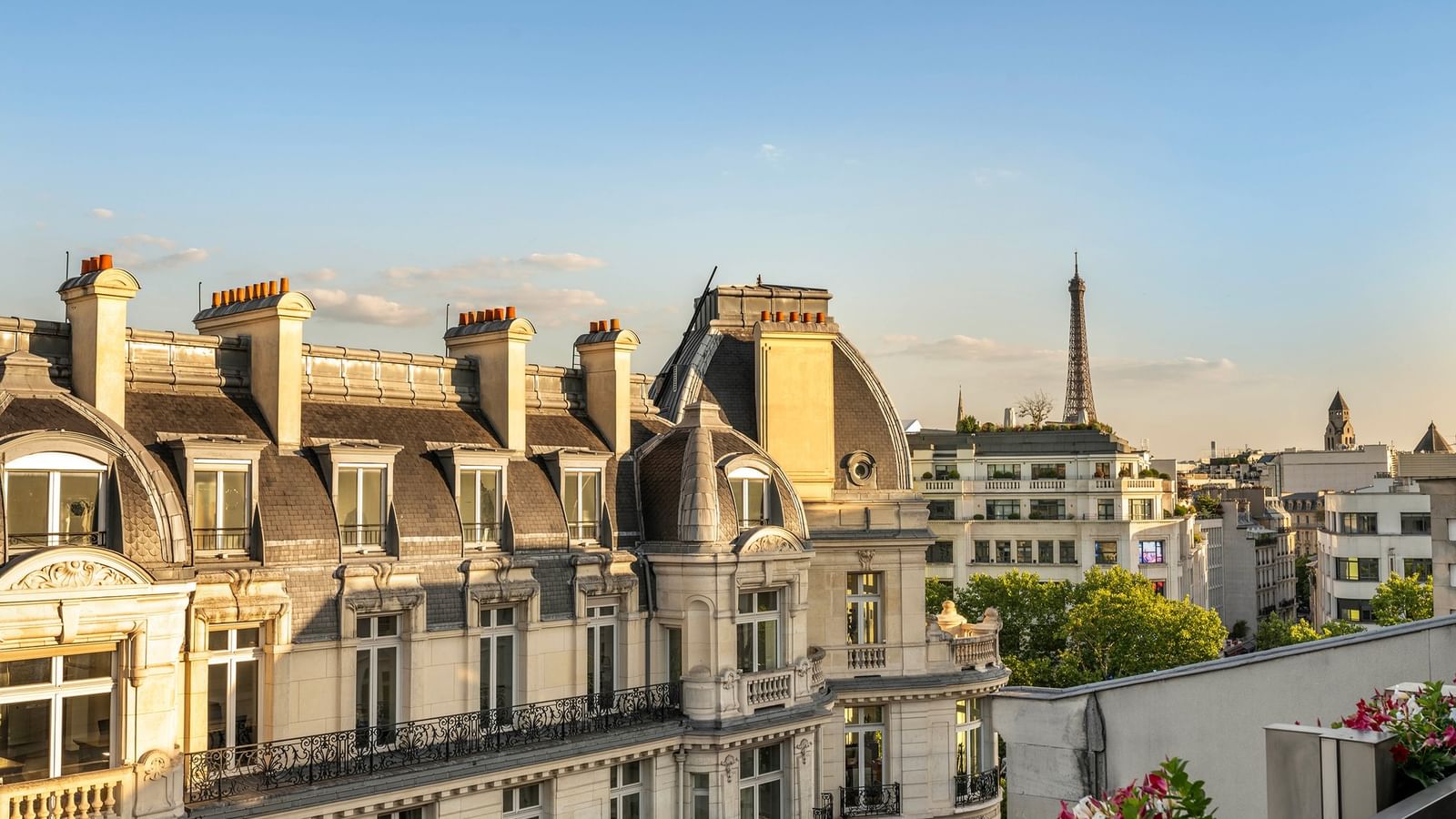 Parisian rooftops with classic Haussmann architecture and the Eiffel Tower visible in the distance under a clear sky.