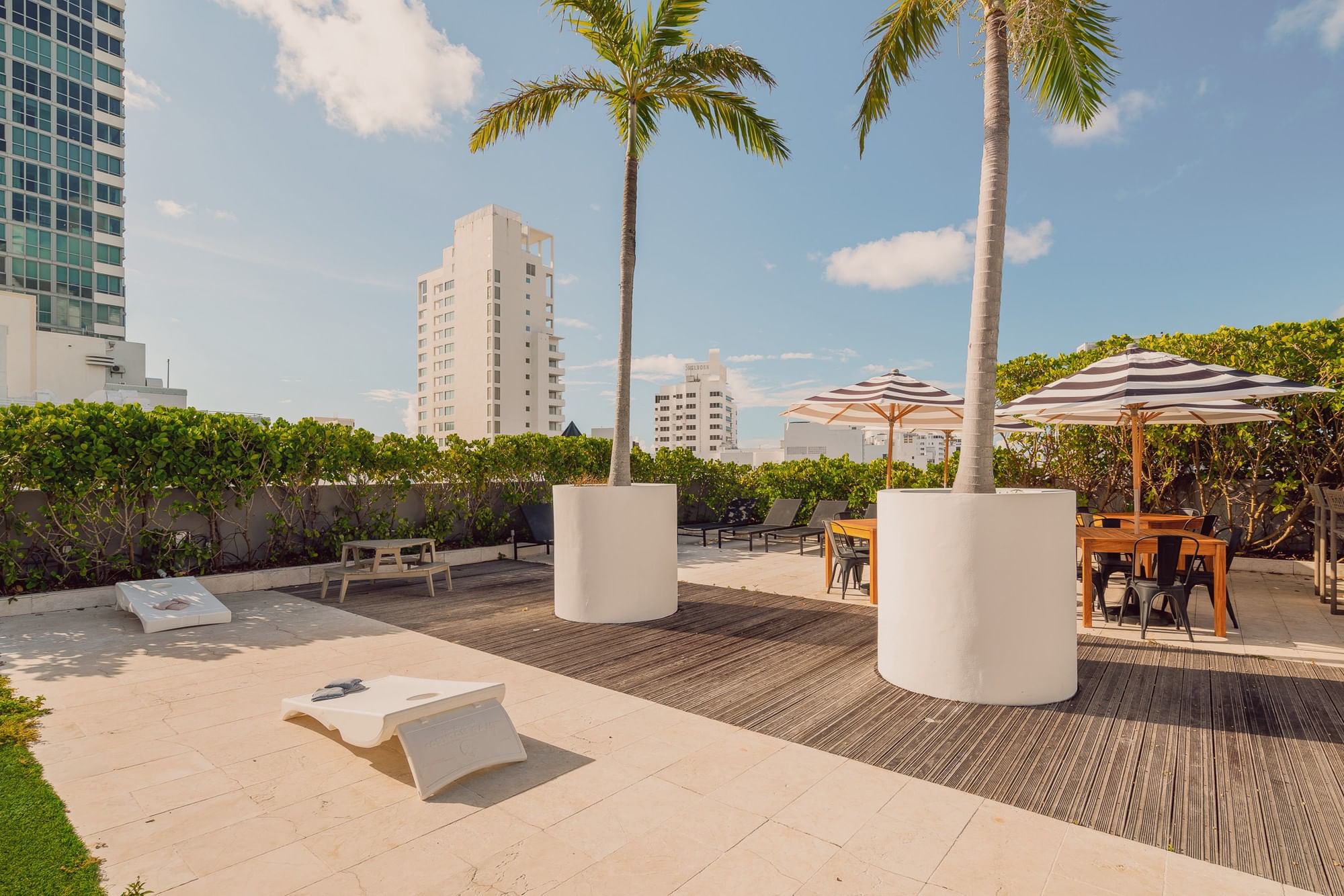 A tropical outdoor lounge area with palm trees, outdoor seating, and lounge chairs.