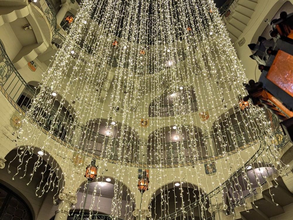 Lights & Delights VIP Tour