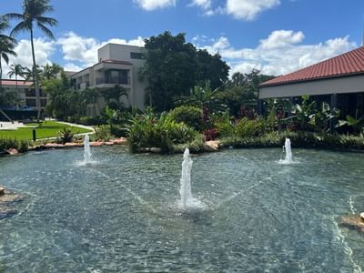 Three fountains spraying water across a pond beside lush green tropical gardens and hotel buildings at Miami Lakes Hotel