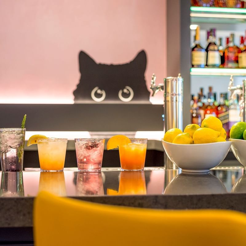 Bar counter with various cocktails served in Gattara at Warwick Denver